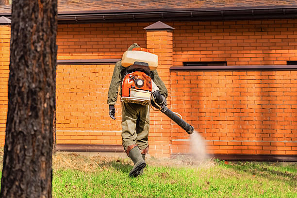 Top rated local Wasp Removal specialists in Waldron, AR